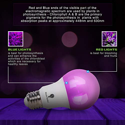 3 Pack Bluex 100W Led Grow Light Bulb A19 Bulb - Full Spectrum Grow Lamp - Grow Healthier & Yield Better Harvests For Diy Indoor Plants, Flowers, Greenhouse, Indore Garden, Hydroponic #TOP3
