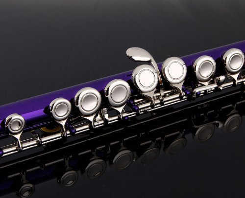 Image of Glory Closed Hole C Flute With Case, Tuning Rod and Cloth,Gloves Purple