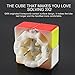 D-FantiX Gan 249 V2 2x2 Speed Cube Stickerless Gan 2x2 Magic Cube Puzzle Toy (49mm)
