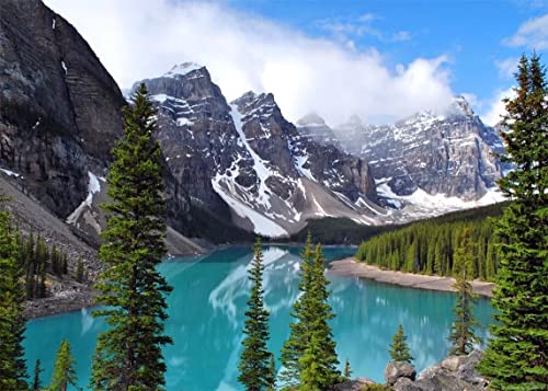 BELECO 7x5ft Fabric Mountain Lake Backdrop Banff National Park Moraine Lake Backdrop Canadian Rockies Mountain Pine Trees Forest Nature Camping Backdrop Wallpaper Portraits Shoot Photo Props