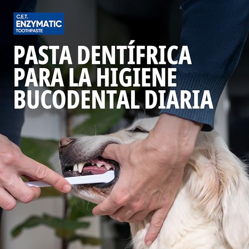 CET Pasta DENTIFRICA ENZIMATICA 70GR