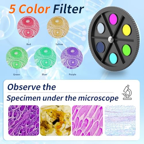 JECONE Microscopio para Adultos y Niños, Microscopio Compuesto de Alta Potencia 40X-2000X para Estudiantes, Laboratorio Escolar y Educación en Casa, Equipado con Juego de Diapositivas y Soporte para