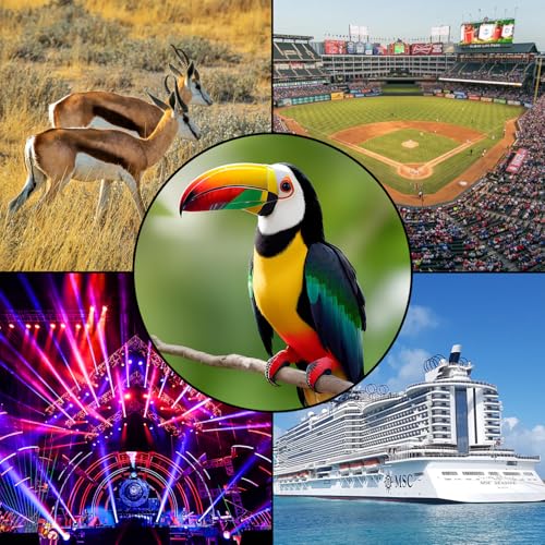 Binóculos 10 x 42 para adultos de alta potência, para observação de pássaros, caça, esportes etc. co