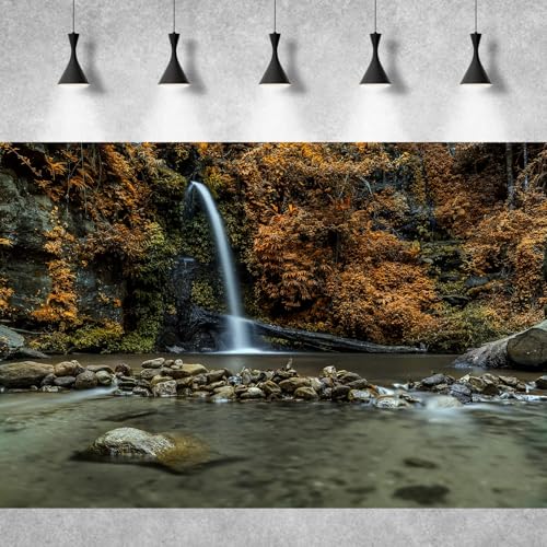 Image of Waterfall Aquarium Background Natural Autumn Forest Yellow Leaves Landscape Terrarium Background Tranquil Lake Stream with Rocks Fish Tank Background Falls Theme Aquarium Backdrop Vinyl 36x18in