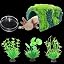 Cave+Plant+Feeding Dish