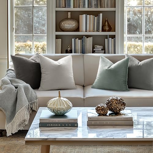 Image of MIULEE Velvet Throw Pillow Covers 22x22 Inch, Pack of 2 - Greyish White, Soft Solid Decorative Pillow Covers Cushion Cases Modern Luxury Home Decor for Spring Couch Sofa Bedroom Livingroom