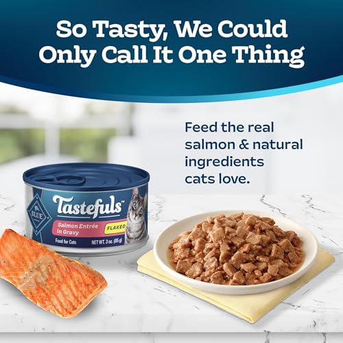 Blue Buffalo Tastefuls Salmon Wet Cat Food, 3 oz, 24 ct - image 3