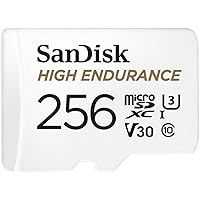 SanDisk HIGH Endurance Scheda microSDXC 256 GB per Videosorveglianza Domestica e Dashcam