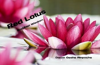 Perfect Paperback Red Lotus Buddhist Wisdom Book