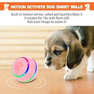 Ifurffy peppy pet ball for dogs interactive dog toy durable automatic rolling ball with led flash lights for small medium dogs breed wicked ball with motion activat bpa free usb rechargeable   cucciolini doodles