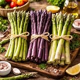 Asparagus Root Variety Pack – 30 Pack (10 of Each) - Mary Washington, Purple Passion & Jersey Knight Crowns...
