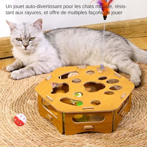 Fournitures de jeu pour chaton avec lime à ongles pour dresseurs et refuges - 6