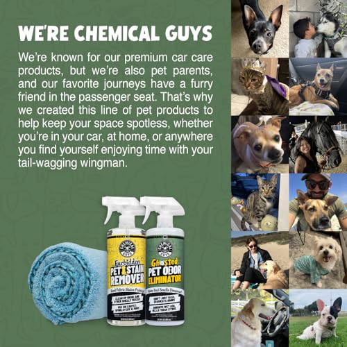Chemical Guys Ghosted Pet Odor Eliminator 32 Oz Pet Smell Neutralizer For Car Interior, Carpet, Upholstery, Fabric Seats, Home, Furniture, Citrus Scent Spray Cleaner - image 6