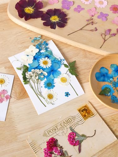 104 Flores Secas Presionadas Set Multiuso Manualidades miniatura 3
