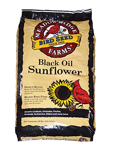Best Black Seed For Birds