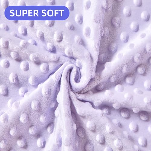 Image of Baby Nursery Bed Blankets Ultra Soft Double Layer Mini Blanket Minky Blanket Receiving Blankets Shower Gifts(30 inch*40 inch,Butterfly)
