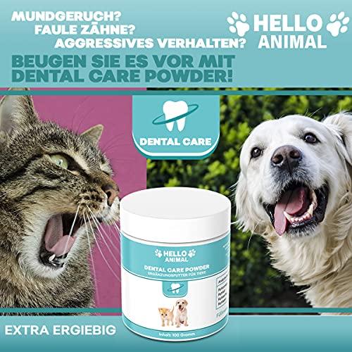 HelloAnimal® DENTAL Pulver für Hunde und Katzen – Zahnreinigung und Zahnpflege Zahnsteinentferner auch für Zwischenräume – Zahnpulver gegen Mundgeruch
