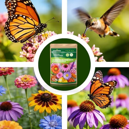 Milkweed Seeds for Monarch Butterflies – Wildflower Seeds Mix 18000+ Seeds (1.76 oz), Perennial Pollinator Garden Flowers, Attract Bees, Butterflies & Hummingbirds, Easy to Grow (1.76 oz) — view 7