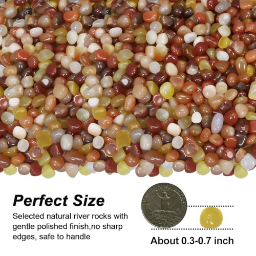 Image of Decorative River Pebbles for Vase Fillers Aquarium Potted Plant Landscaping | Ornamental Gravel Stones, Natural DIY Rocks for Resin Art, Home Garden & Fish Tank Decoration (Three Colors,10 Pounds)