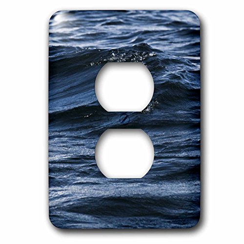 Couvercle d'interrupteur de lumière variable 3dRose lsp_285373_6 premium - 2