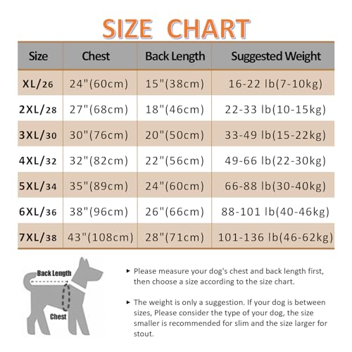 Axcimond Genesungsanzug für Hunde, postoperativ, Alternative zu Kegel-E-Kragen