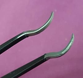 Amazon.com: Blackhead Tweezer - Professional Curved Steel Tip Surgical ...
