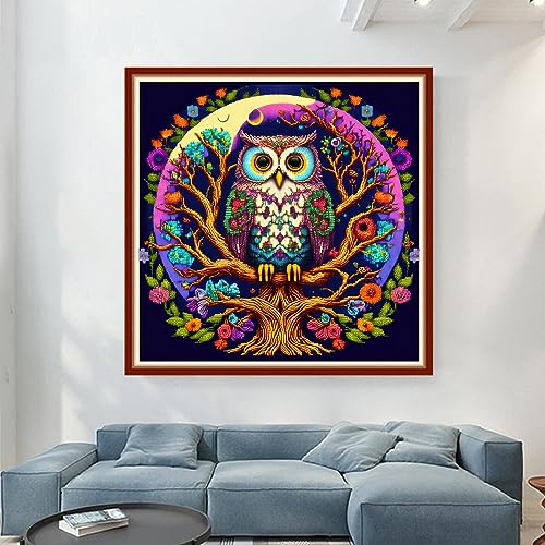 Image of Dimensean Stamped Cross Stitch Kits Full Range of Embroidery Patterns Starter Kits for Beginners Adult DIY Cross Stitches Needlepoint Kits 11CT-Colorful Owl 17.7x17.7 inch