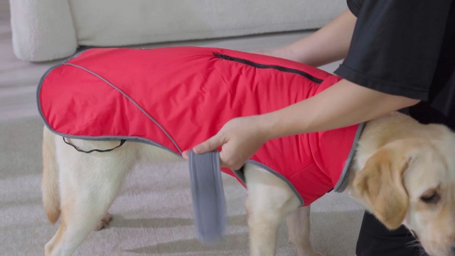 Amazon | Tinsin 犬 服 防寒着 ペット 服 犬 コート 犬 ジャケット