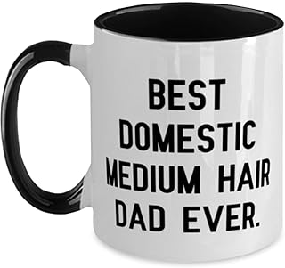 Cute Domestic Medium Hair Cat Two Tone 11oz Mug, Best Domestic Medium Hair Dad Ever, Sarcasm Cup For Cat Lovers From Friends, Cheap domestic medium hair cat toys, Inexpensive domestic medium hair cat