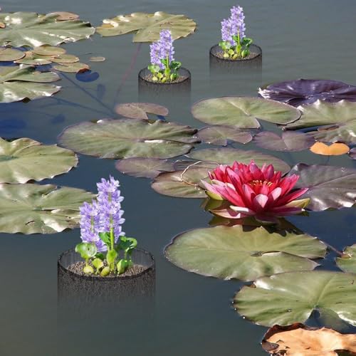 Contenedor transpirable para flores acuáticas de diseño estructural sutil 3