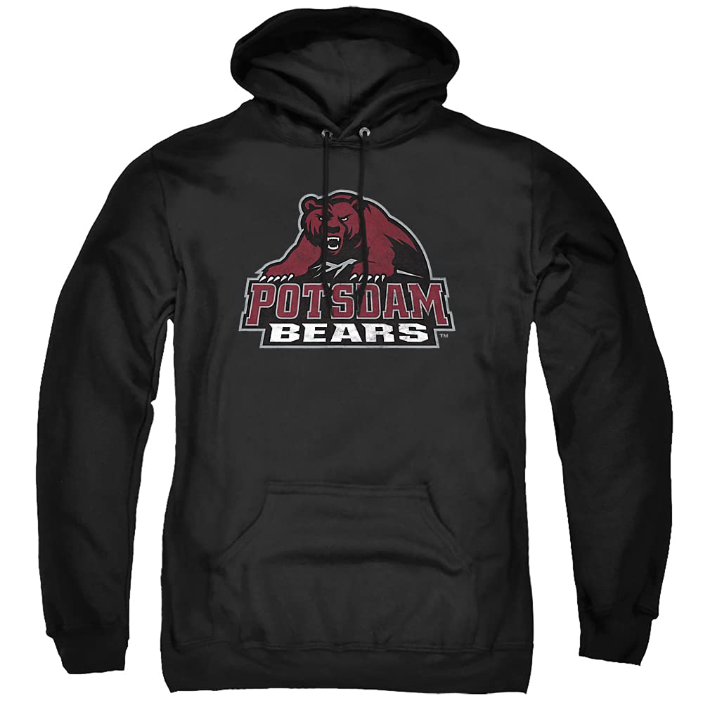 LOGOVISION Official Collegiate Distressed Primary Logo Adult Pullover Hoodie Collection — view 65