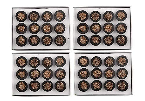 Image of Sambrani Guggul Dhoop Cups (Pack of 4,48 Cups) for Pooja & Havan at Home, Office, Temple & Festivals | Natural Original Guggal Dhoop Cones, Loban Fragrance, Dhuni Cup (Includes 1 Burner Plate)