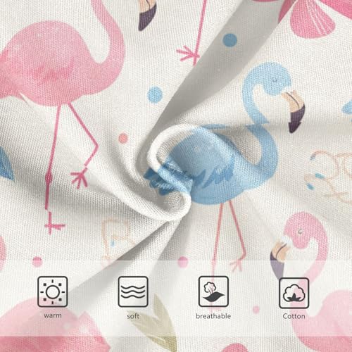 GuoChe Underwear 1-piecing Hip Design Panties Organic Underwear for Kid in Sizes 2T,3T, 4T, 5T, 6Y and 8Y3