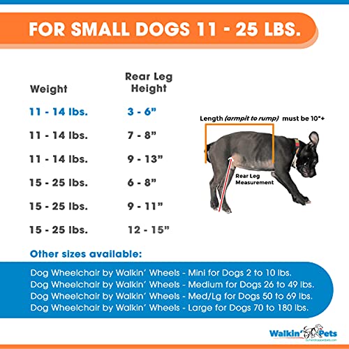 Walkin' Wheels Dog Wheelchair - For Small Dogs 11-25 Pounds - Veterinarian Approved - Dog Wheelchair For Back Legs #TOP1