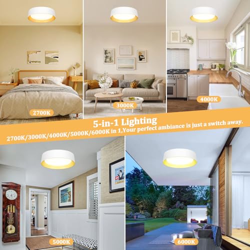 Image of Flush Mount Ceiling Light, 16in Modern Ceiling Light 5 Color Temperature