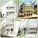 2-Tier Mini Greenhouse Indoor, Clear Stackable Tabletop Greenhouse with Magnetic Door,Small Greenhouse for Garden Plant Seed Starting,Home&Garden,1 Pack