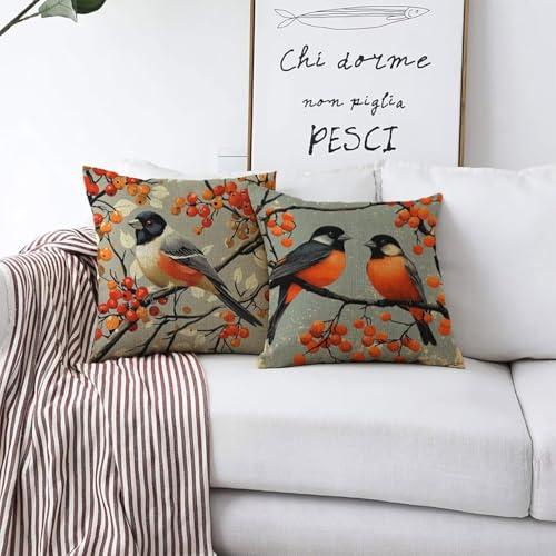 Housse de coussin 60x60cm animaux imperméable et résistante aux UV