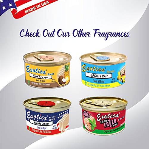 Exotica Car Air Freshener | Spill-Proof Can | Organic | for Home & Auto | Long Lasting Freshness | (Pack of 12) Lavender