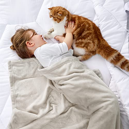 Image of Bedsure GentleSoft Bedding Fleece Blanket for Girls and Boys - Soft Cozy Cute Small Throw Blankets for Travel, 43x55 Inches, Linen