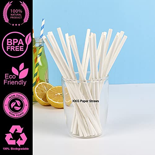 Pitillos de Papel Blanco Biodegradables 6mm Paquete 100 miniatura 5