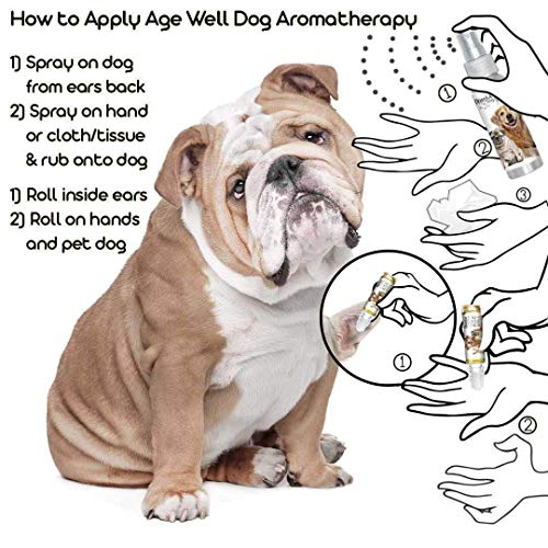 Image of The Blissful Dog Bulldog Age Well Dog Aromatherapy