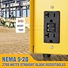 30A 125/250V Twist-Lock Temporary Power Distribution Box, Spider Box Electrical 8 x 20A GFCI Outlets, OSHA/NEC Compliant, ETL Listed, Durable 1.5M 10/4 Stow Cable