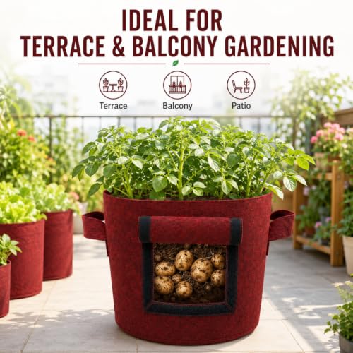 Image of Casa De Amor 15x12 Inch Potato Grow Bags for Root Vegetables, Geo Fabric 400 GSM Plant Bag (Maroon Color, Pack of 2)
