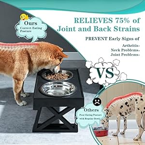 Elevated Dog Bowls, 3 Adjustable Heights Raised Pet Stand with Slow Feeder 2 Stainless Steel Food & Water Bowls for for Small Medium Large Dogs and Pets