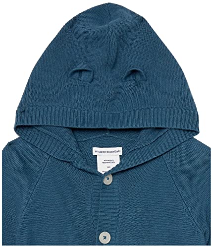 Amazon Essentials Unisex Baby Kapuzenpullover, 2er-Pack, Dunkelgrünblau/Hellblau, 12 Monate