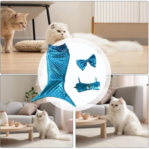 Disfraz de sirena de gato suave para fotos divertidas de Halloween 5