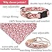 Pettsie Hundehalsband mit Bandana Tuch und Freundschaftsarmband, einstellbare Größen S, M und L, stark und langlebig, tolles Geschenk für Hundeliebhaber in attraktiven Verpackung, M, Rosa