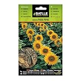 Battle - Semi Aromatici Girasole per Semi (Semi - 30Cm)