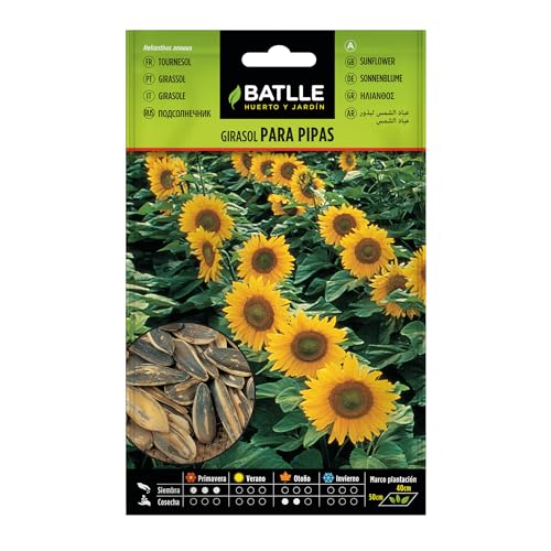 Battle - Semi Aromatici Girasole per Semi (Semi - 30Cm)