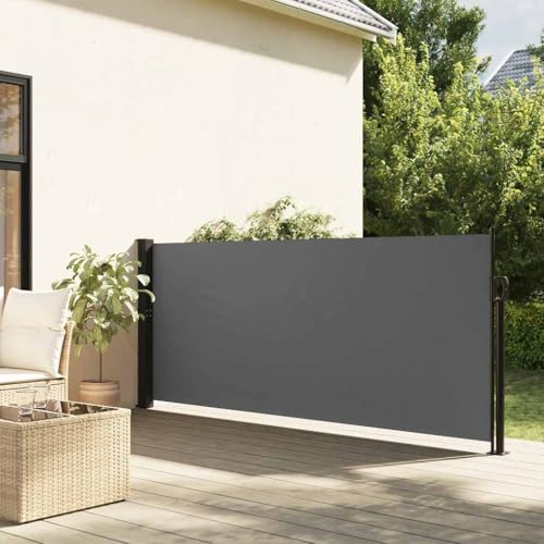 Vetnasa Toldo Lateral retráctil Antracita 117x300 cm Casa y jardín, Jardín, Artículos de Exterior, Sombrillas Antracita 5,2 KG